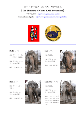 （スイス）のゾウたち 【 】 The Elephants of Circus KNIE Switzerland