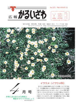 広報かるいざわ4月号