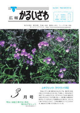 広報かるいざわ3月号
