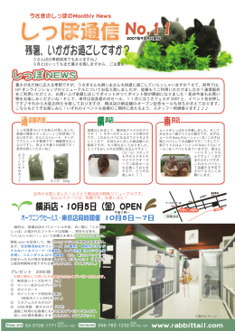 しっぽ通信11号 - うさぎのしっぽ