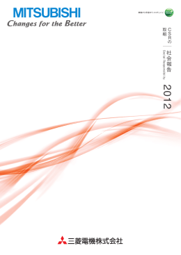 2012年度報告書 社会報告