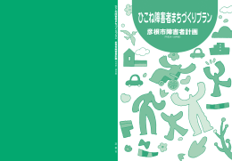 平成24～29年度