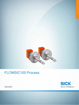 FLOWSIC100 Process, オンラインデータシート