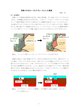 南海トラフはユーラシアプレートに入った亀裂 海 海