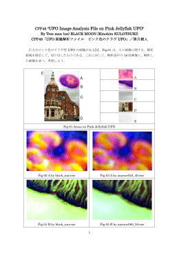 CPP48「UFO画像解析ファイル ピンク色のクラゲUFO」