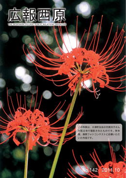 平成23年10月号