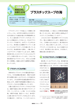 プラスチックスープの海