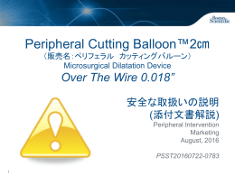 Peripheral Cutting Balloon&trade;2cm