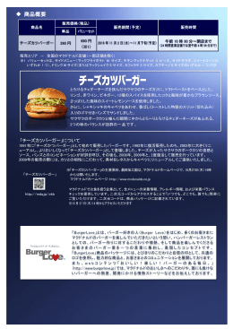 商品概要などリリース詳細