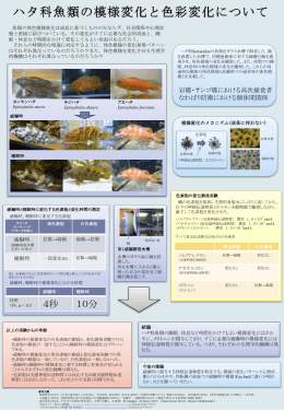 魚類学会ポスター