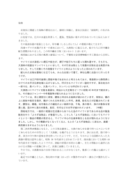染物 衣食住に関連した染物の歴史は古く、静岡と同様に、清水江尻宿に