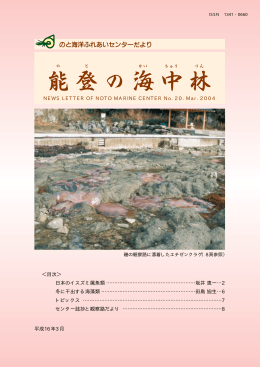 平成16年3月発行 - のと海洋ふれあいセンター