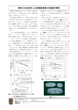 微気孔生成技術による高機能軽量白色磁器の開発 （PDF: 33.8 KB）