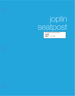 joplin seatpost