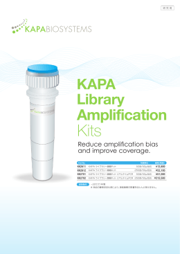 KAPA Library Amplification