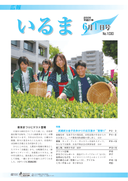 金子十郎家忠の活躍