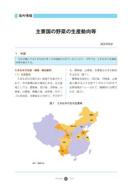 主要国の野菜の生産動向等