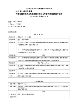 2015 年へ向けた準備： 持続可能な開発と気候変動における革新的資金調達