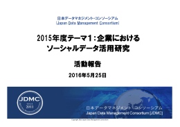 2015年度テーマ1：企業における ソーシャルデータ活用研究