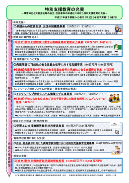 特別支援教育の充実 - 国立障害者リハビリテーションセンター