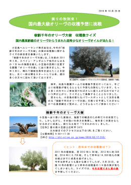 「樹齢千年のオリーヴ大樹 収穫数クイズ」のご案内（PDF）