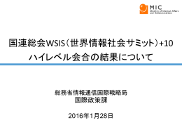 国連総会WSIS（世界情報社会サミット）+10 ハイレベル会合の結果について