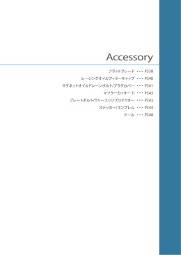 アクセサリー - モンスタースポーツ