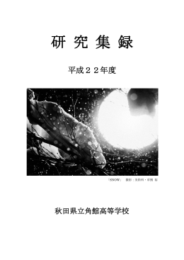 平成22年度 研究集録 （PDF）