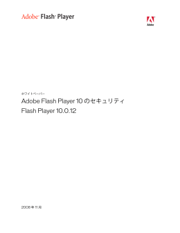 Adobe Flash Player 10のセキュリティ