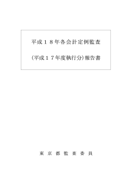 平成18年各会計定例監査 (平成17年度執行分