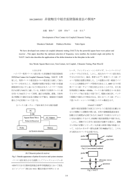 100-20095055 非接触空中超音波探傷検査法の開発*