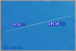 業務案内① - 株式会社 SKY