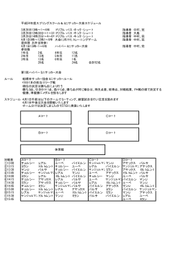 平成24年度スプリングスクール＆ミニサッカー大会スケジュール 3月28日