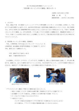 固有種ニホンイシガメの保全 - アースウォッチ・ジャパン