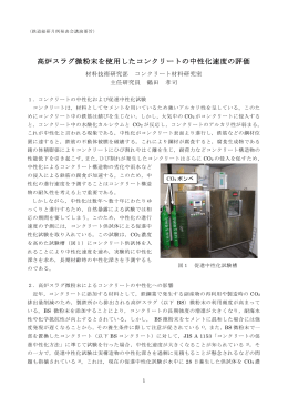 高炉スラグ微粉末を使用したコンクリートの中性化速度の評価