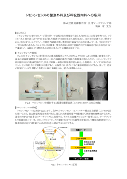 セックス断層撮影