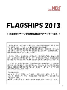 “FLAGSHIPS 2013” 全体版 （PDF：1.37MB）