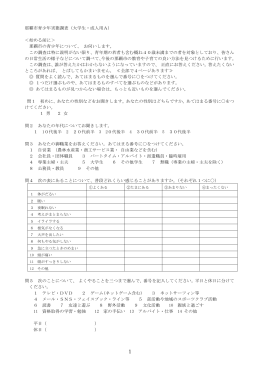 2013那覇市青少年実態調査調査票 大学生・成人対象A（PDF/0.2MB）