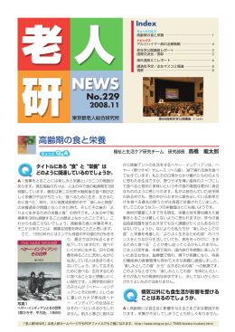 No.229 平成20年 11月発行(pdf 856KB)