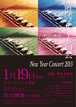 New Year Concert 2013