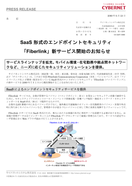 PDF版（313KB） - サイバネットシステム