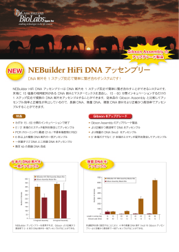 NEBuilder HiFi DNA