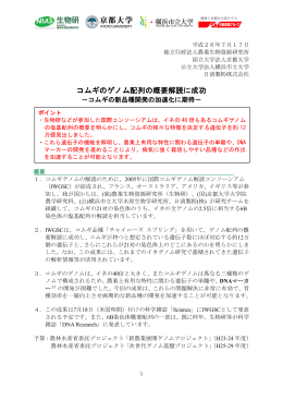 コムギのゲノム配列の概要解読に成功