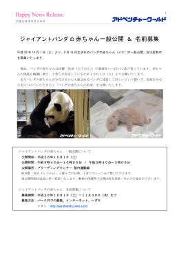 アドベンチャーワールドでのパンダ赤ちゃん公開及び名前の募集について