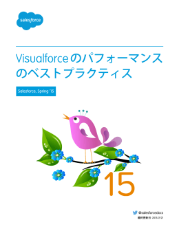 Visualforce のパフォーマンスのベストプラクティス