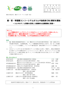 産・官・学国際コンソーシアムがコムギ染色体 DNA 解析を開始