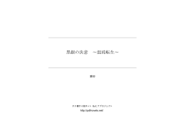 黒銀の決意 &sim;混沌転生
