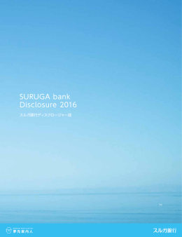 ディスクロージャー誌 2016年版