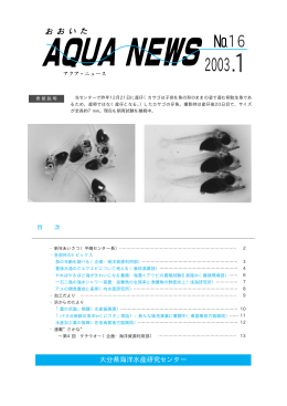 No.16 [PDFファイル／359KB]