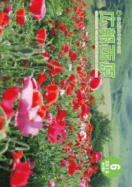 広報「西原」平成 27年 6月号